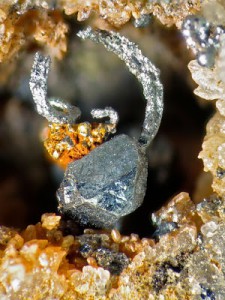 Acantita. Pou número 2 de la mina Balcoll de Falset. Mida del cristall 3,15 mm. Col·lecció i fotografia de Joan Abella i Creus.