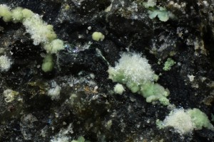 Abellaïta Agregats de cristalls d'hàbit micaci de color blanc. Camp visual 1.62 x 1.12 mm. Col·lecció Joan Abella i Creus. Fotografia Matteo Chinellato.