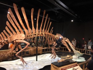 03. spinosaurus